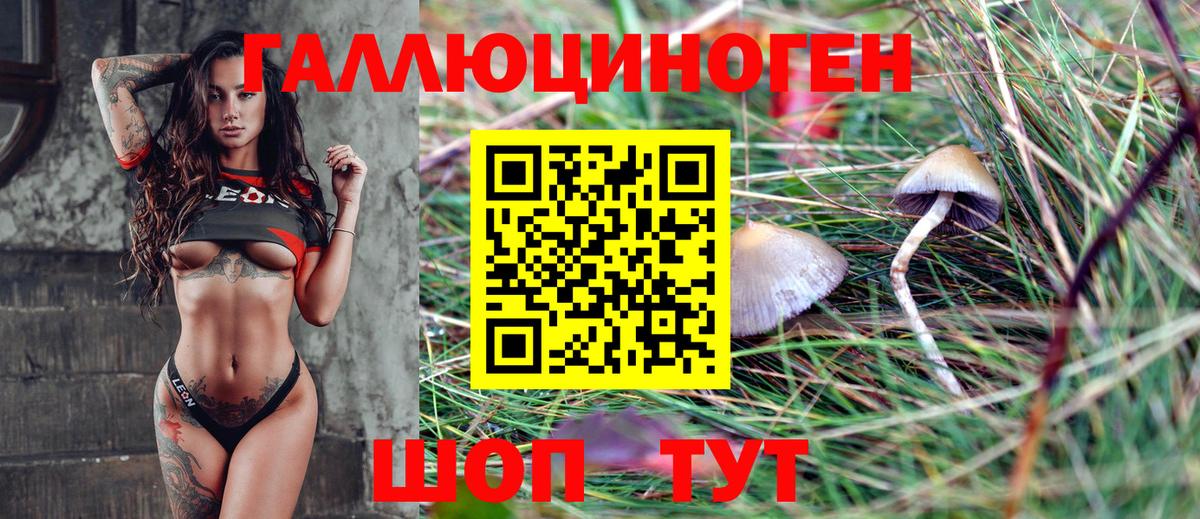 Псилоцибиновые грибы мухоморы  Псилоцибиновые грибы ЛСД  наркошоп  Вход с VPN  Печора 